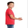 District Youth Perfect Tri  Tee. DT130Y XS Red Frost view 2