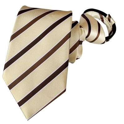 BESMODZ Mens Zipper Tie Striped Champagne Formal Business Men Pre Tied Neck Ties