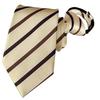 BESMODZ Mens Zipper Tie Striped Champagne Formal Business Men Pre Tied Neck Ties view 1