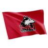 Desert Cactus Northern Illinois University NIU Flag - 3 x 5 Feet Huskies Banner, Indoor/Outdoor Durable Fabric, 100% Polyester Design (Style 1) view 1