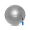 Retrospec Luna Exercise Ball & Pump with Anti-Burst Material, Perfect for Balance, Stability, Yoga & Pilates, Graphite, 75cm view 1