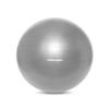 Retrospec Luna Exercise Ball & Pump with Anti-Burst Material, Perfect for Balance, Stability, Yoga & Pilates, Graphite, 75cm view 2