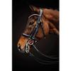 Schockemhle Equitus Gamma Double Bridle, Size COB-C/S, Black Patent/Silver view 2