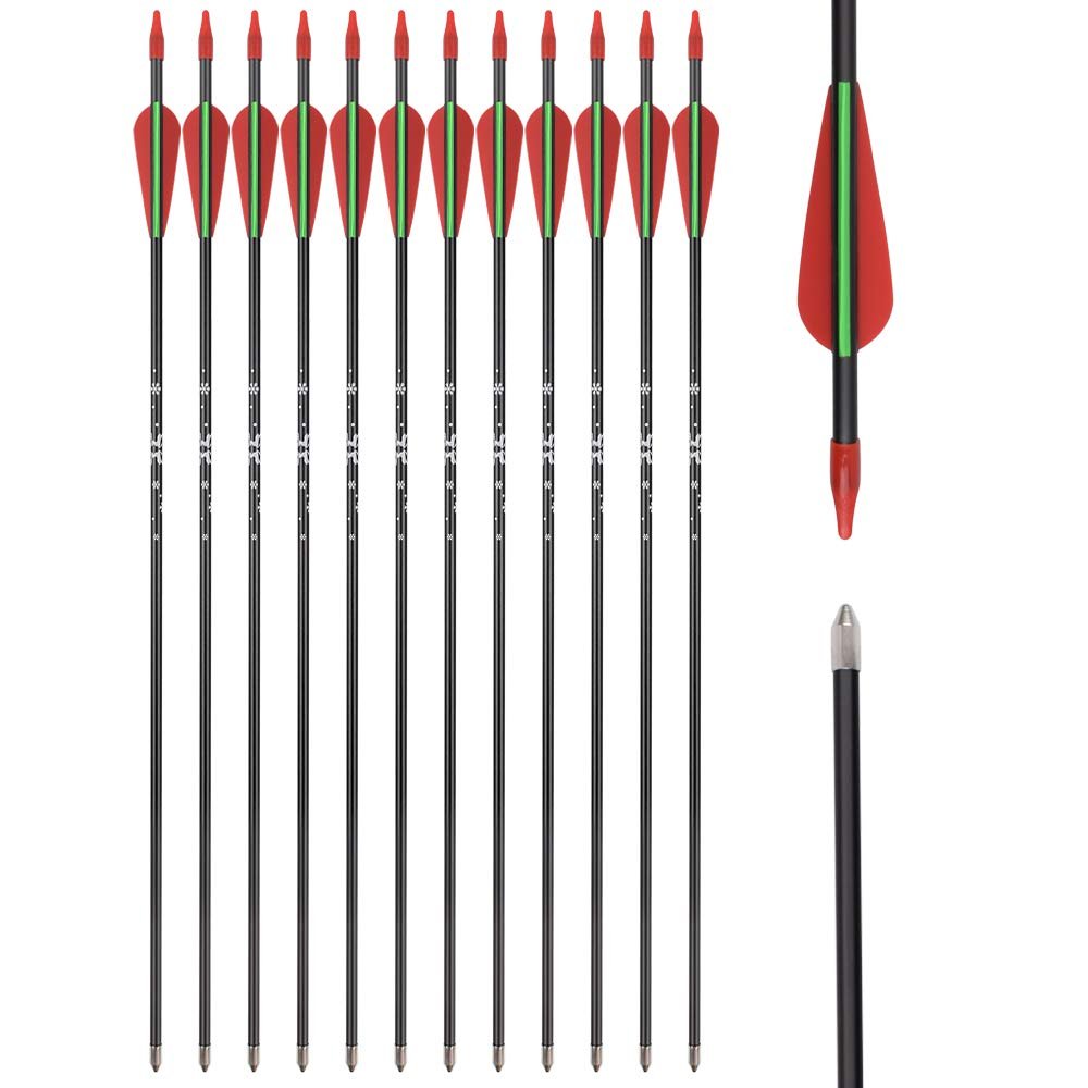 Archery Recurve Bow Arrows Fiberglass Arrow 26 Inch Hunting Shooting Practice Target for Beginners Kids Youth Sport Outdoor(Pack of 12)