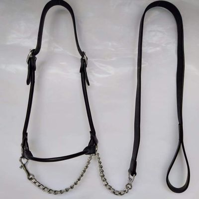 Lussoro Leather Show Halter Hand Made Leather Show Halter