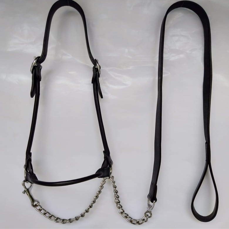 Lussoro Leather Show Halter Hand Made Leather Show Halter