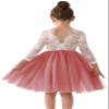 2Bunnies Girl Peony Lace Back A-Line Straight Tutu Tulle Party Flower Girl Dress (Dusty Rose Sleeve Short, 9/10) view 1