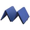 Gymnastics Tumbling Mats Portable Gymnastics Mat 4 Folding Tumbling Mat 4'x10'x2"Thick Yoga Mat Exercise Mat with Carrying Handles for home Workout outdoor Yoga Gymnastic view 1