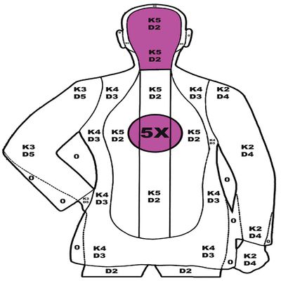 B21 Style Silhouette Target Pink (24x36 Inches)