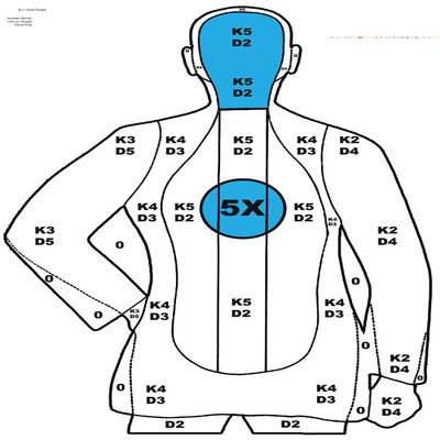 B21 Style Silhouette Target Blue (24x36 Inches)