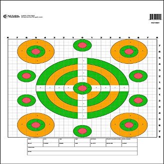Action Target High Visibility Fluorescent Sighting Target, Paper, Shooting (100 Pack)
