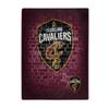Northwest NBA Cleveland Cavaliers Raschel Throw Blanket, 60" x 80", Street view 1