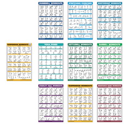 10 Pack - Exercise Workout Poster Set - Suspension Volume 1 & 2, Dumbbell, Kettlebell, Resistance Bands, Stretching, Bodyweight, Barbell, Yoga Poses, Exercise Ball (PAPER - NOT LAMINATED 18" x 24")