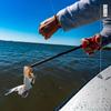 BUBBA 12" Hook Extractor with Non-Slip Grip T-Handle with Marine Grade Stainless Steel Hook Extractor for Fishing and Angling view 2