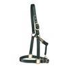 Dover Saddlery Heavy Nylon Halter, Small Pony, Hunter view 2