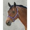 Dover Saddlery Heavy Nylon Halter, Large Pony, Charcoal view 1
