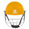 Shrey Star Steel Gold Large view 3