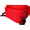 PAXLAMB Red First Aid Bag Empty First Aid Backpack Empty Medical Storage Bag for First Aid Kits Pack Emergency Hiking Backpacking Camping Cycling Travel Car (15.7 * 11.8 * 5.9") view 3