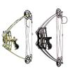 ZSHJGJR Archery Compound Bow Kit 40lbs Complete Triangle Hunting Bow All Accessories Competition Composite Bow with Carbon Arrows for Outdoor Shooting (Black) view 1