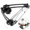 ZSHJGJR Archery Compound Bow Kit 40lbs Complete Triangle Hunting Bow All Accessories Competition Composite Bow with Carbon Arrows for Outdoor Shooting (Black) view 2