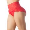 iB-iP Women's Sexy Lace Knickers See Through Underwear High Waist Hipster Panties, Size: 10, Red view 3