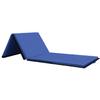 Gymnastics Tumbling Mat Portable Gymnastics Mat Foldable Tumbling Mat 2ft W 6ft L/4ft W 6ft L/4ft W 8ft L/4ft W 10ft Exercise Mat Yoga Mat with Carrying Handles for Yoga Gymnastics,4ft W 10ft L view 1