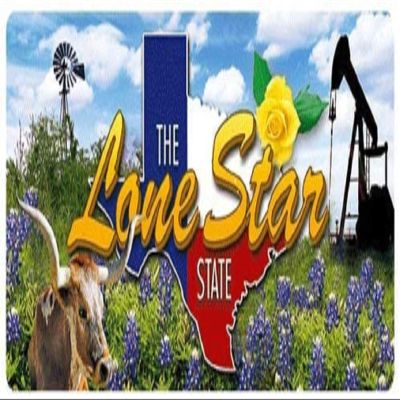Texas the Lone Star State 3D Luggage Bag Tag