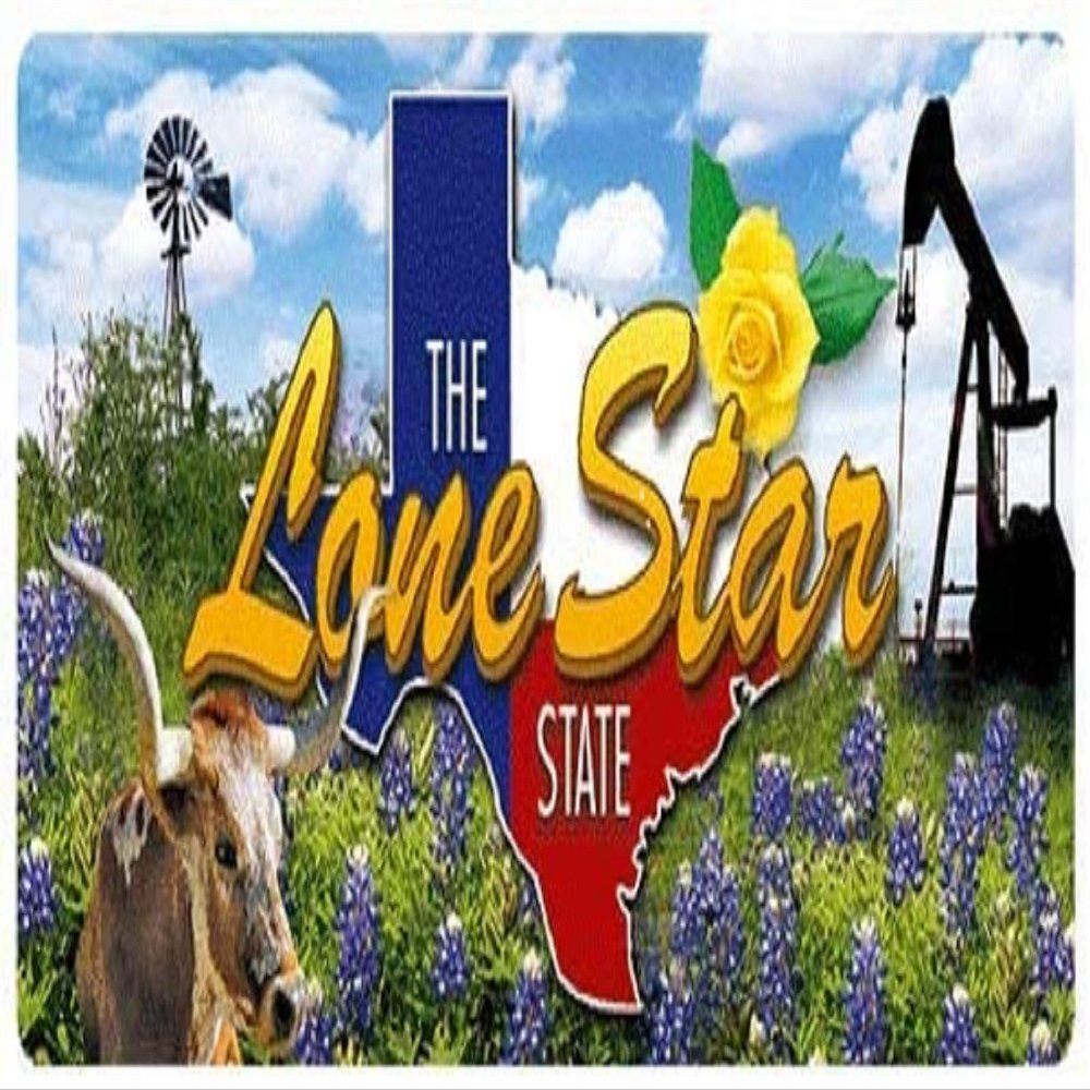 Texas the Lone Star State 3D Luggage Bag Tag