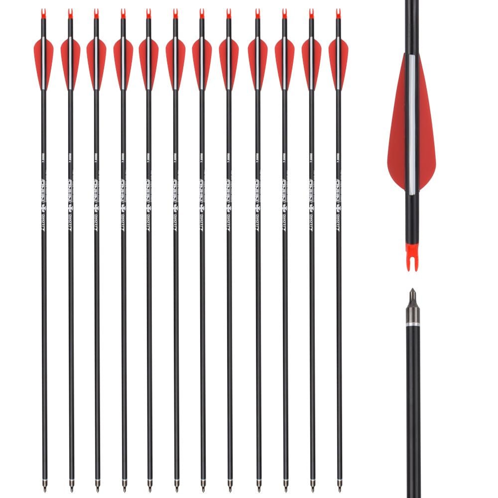 30 inch Carbon Arrow Hunting Arrows with 100 Grain Removable Tips for Archery Compound & Recurve & Traditional Bow Practice Shooting (Pack of 12)