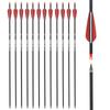 26 inch Carbon Arrow Hunting Arrows with 100 Grain Removable Tips for Archery Compound & Recurve & Traditional Bow Practice Shooting (Pack of 12) view 1