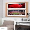 Georgia Football, Light Up Sanford - Unframed 40 x 13.5 Poster by Blakeway Panoramas view 2