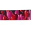 Country Brook Design - Romantic Hearts Polyester Webbing (1 1/2 Inch, 20 Yards) view 2