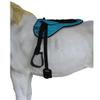 CHALLENGER Horse Western Lightweight Neoprene Padded Bareback Saddle Pad Turquoise 39186TR view 3