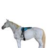 CHALLENGER Horse Western Lightweight Neoprene Padded Bareback Saddle Pad Turquoise 39186TR view 4