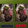 VictoryStore Thanksgiving Bag Toss Game Thanksgiving Cornhole Includes Bags (Turkey Photograph) view 2