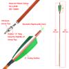 AMEYXGS 30inch Carbon Arrows Hunting Aiming Practice Arrows Spine 500 with 4inch Shield Turkey Feather Detachable Arrowhead for Recurve Compound Bow Longbow 12pcs (12Pcs Green) view 2