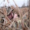 HTR A-Frame Blind (Grass camo) view 3