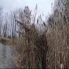 HTR A-Frame Blind (Grass camo) view 4