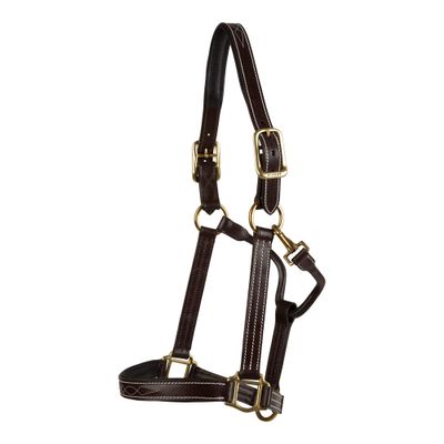 Huntley Equestrian Premium Leather Halter with Snap (Full, Fancy Stitched Padded)