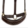 Huntley Equestrian Premium Leather Halter with Snap (Full, Fancy Stitched Padded) view 4