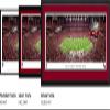 Arizona Cardinals - 42x15.5-inch Single Mat, Select Framed NFL Picture by Blakeway Panoramas view 2