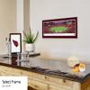 Arizona Cardinals - 42x15.5-inch Single Mat, Select Framed NFL Picture by Blakeway Panoramas view 4