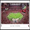 Arizona Cardinals - 40.25x13.75-inch Standard Framed NFL Picture by Blakeway Panoramas view 1