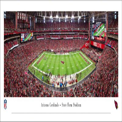 Arizona Cardinals Football - Unframed 40 x 13.5 NFL Poster by Blakeway Panoramas