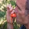 Survive Outdoors Longer Slim Rescue Howler Whistle, 2ct (Pack of 3) view 2
