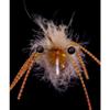 Loon Outdoors UV Colored Fly Finish - Hot Blue view 3