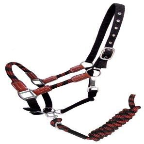 Showman Nylon Halter w/Leather Accents & Matching Lead Rope