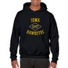 AH1107 - Iowa Hawkeyes Stitch Arch Hoodie - X-Large - Black view 4