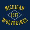 AH1107 - Michigan Wolverines Stitch Arch Hoodie - Medium - Navy view 2