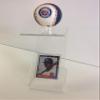 Baseball Stand with Plastic Ring and Card Holder view 2